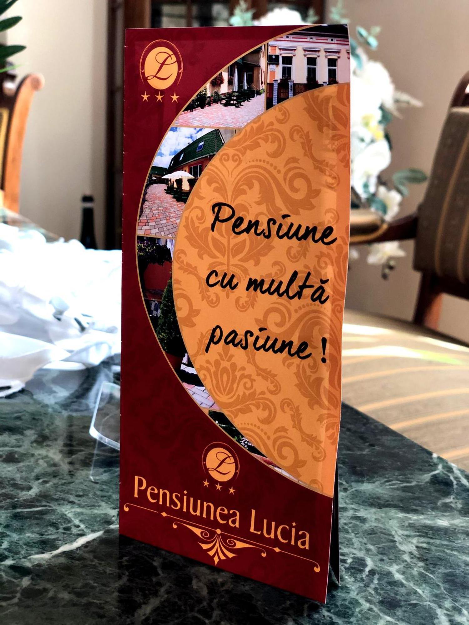 Pensiunea Lucia Sfântu-Gheorghe Exterior foto