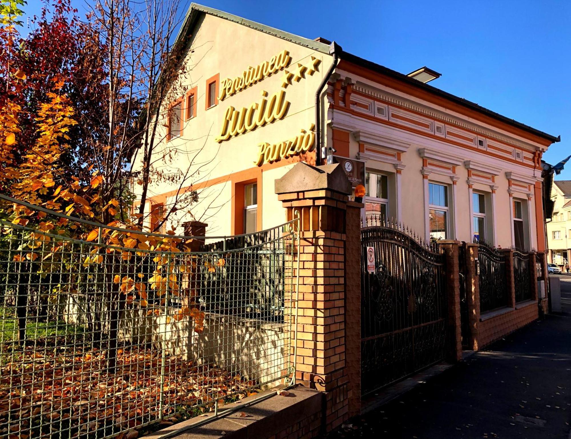 Pensiunea Lucia Sfântu-Gheorghe Exterior foto